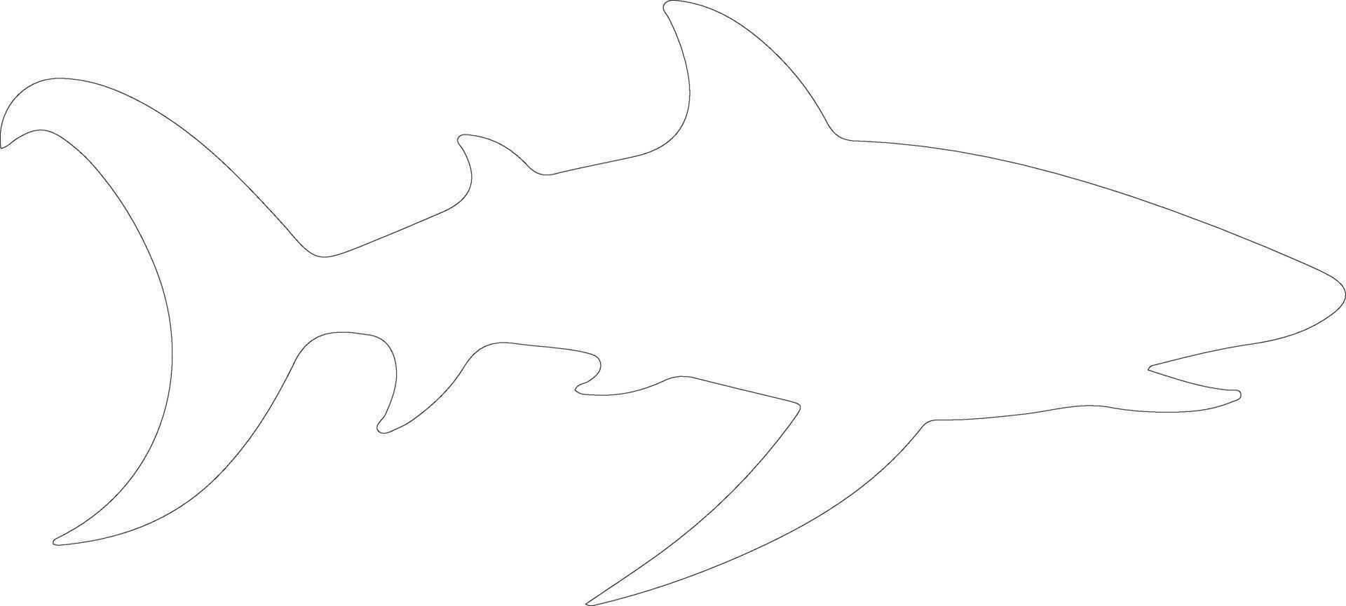 basking shark  outline silhouette vector