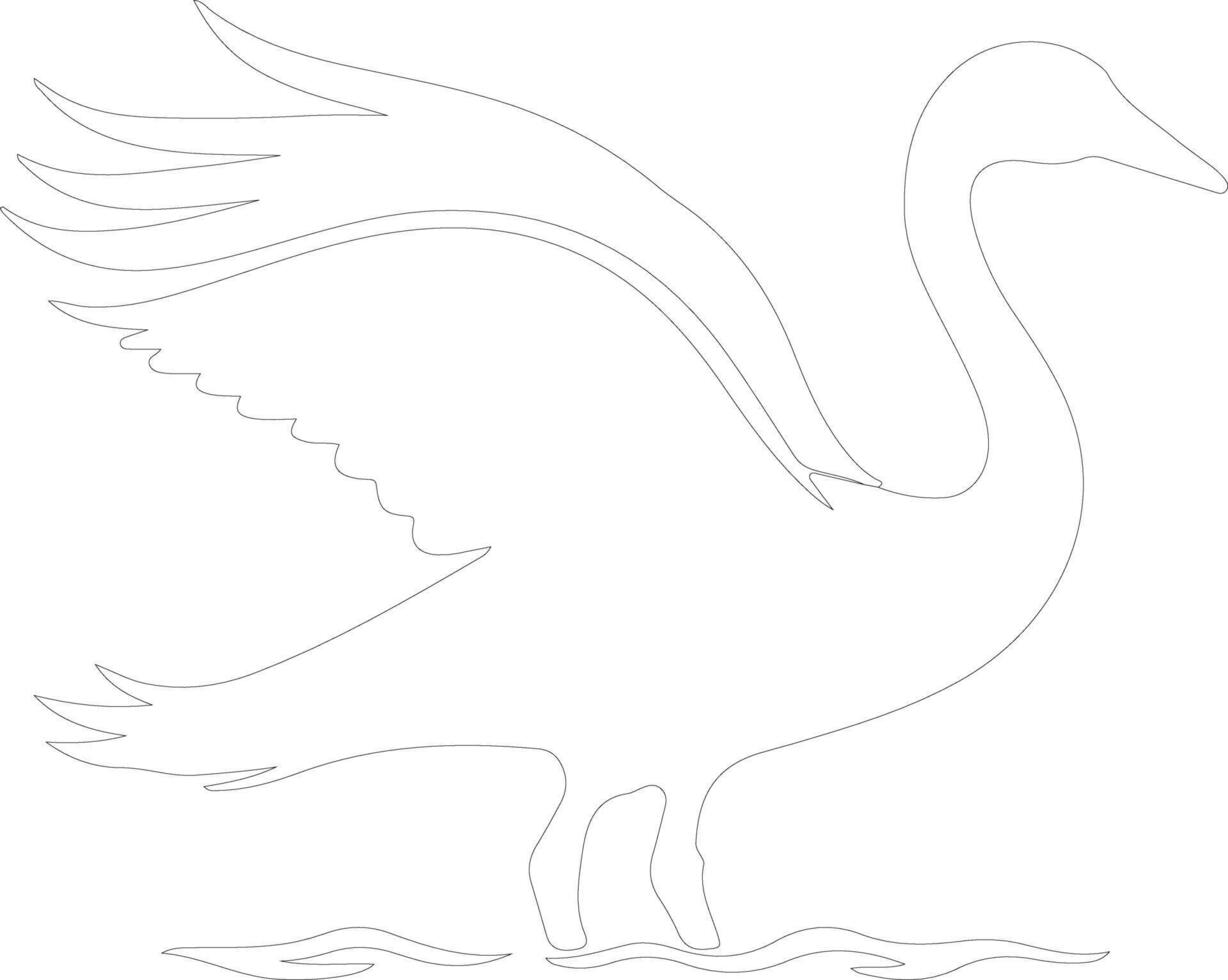 trumpeter swan outline silhouette vector