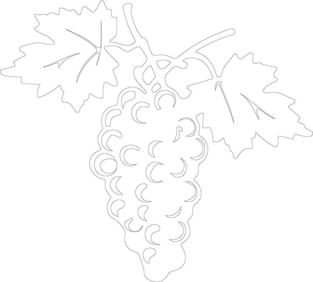 grape  outline silhouette vector