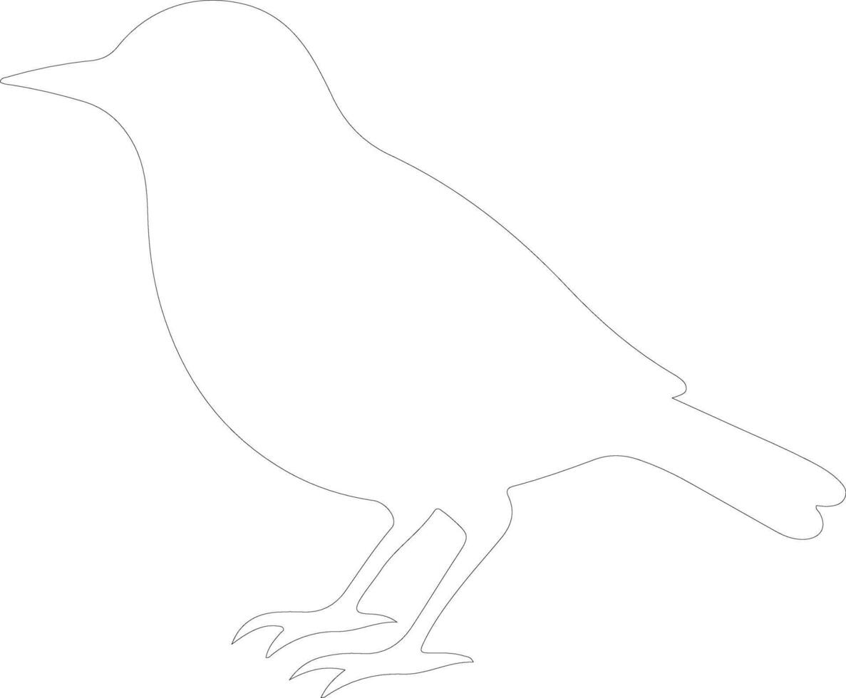 blackbird  outline silhouette vector