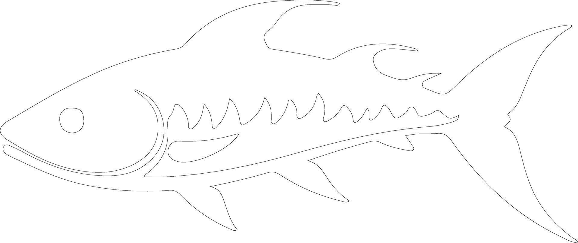 tarpon    outline silhouette vector