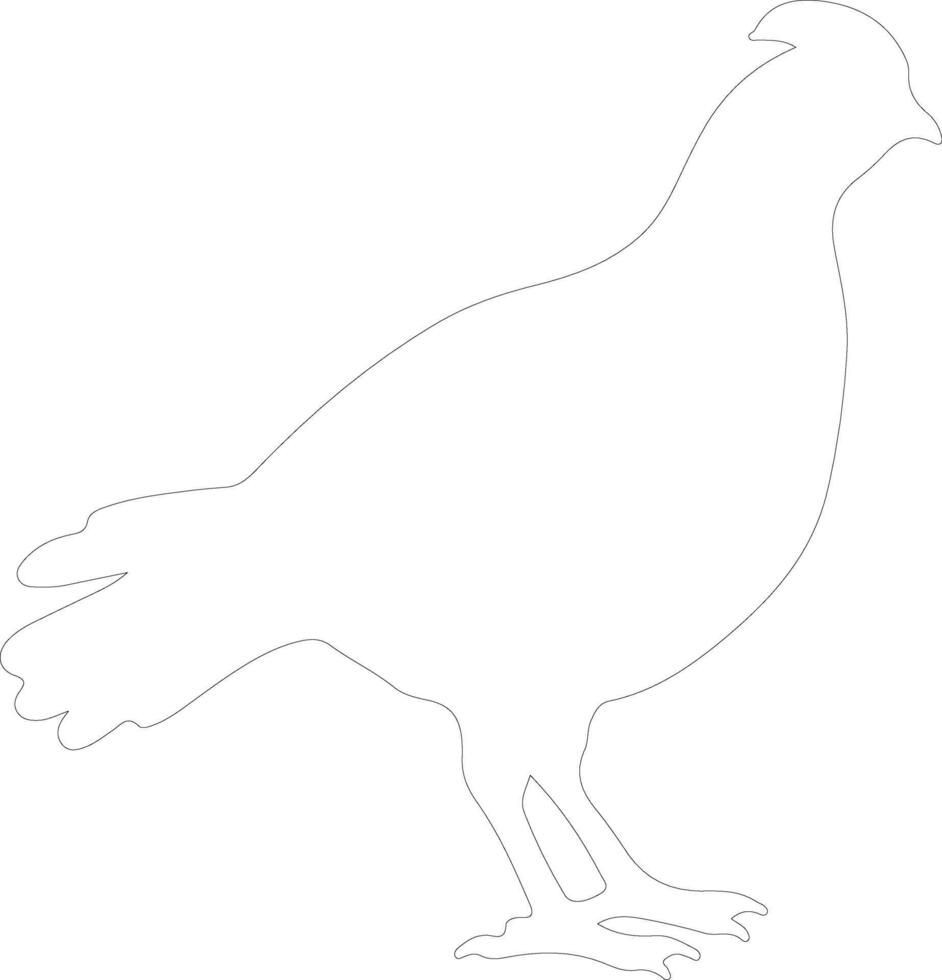 grouse  outline silhouette vector