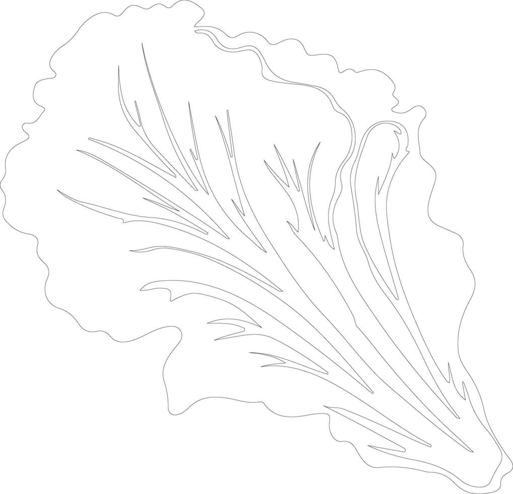 Chinese cabbage  outline silhouette vector