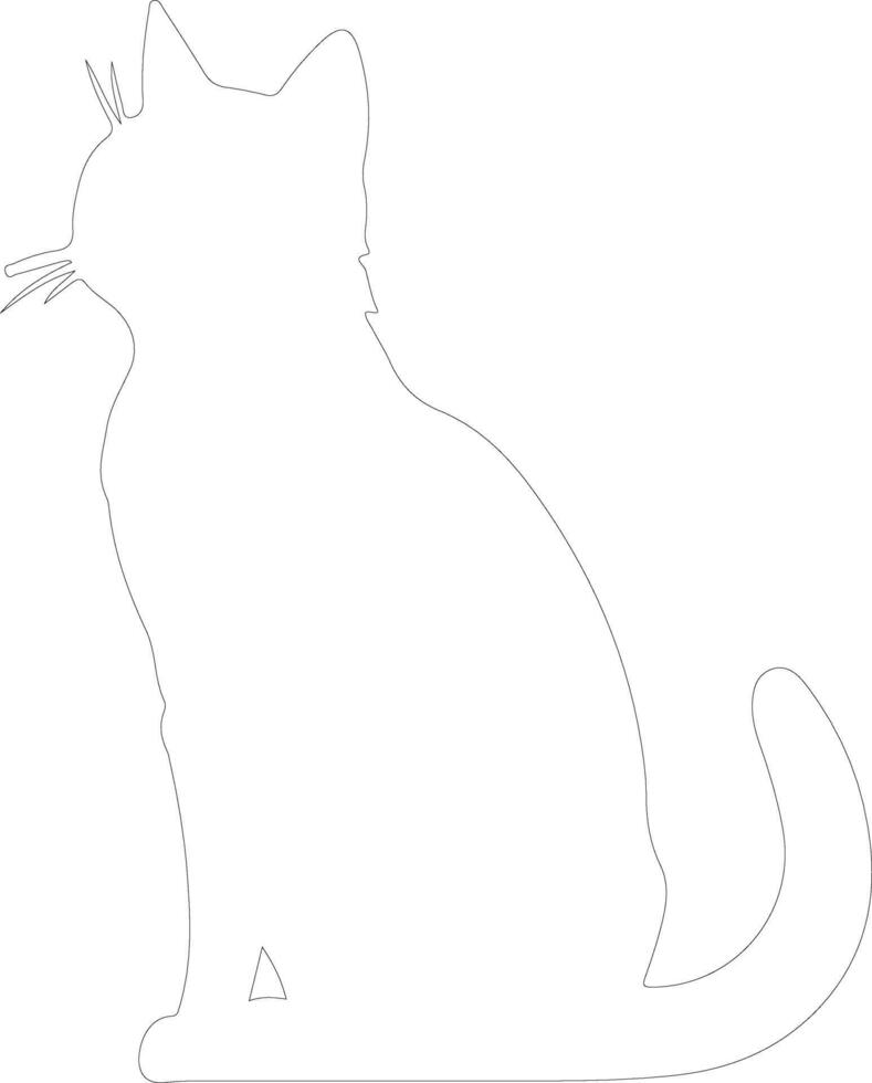 Sokoke Cat  outline silhouette vector