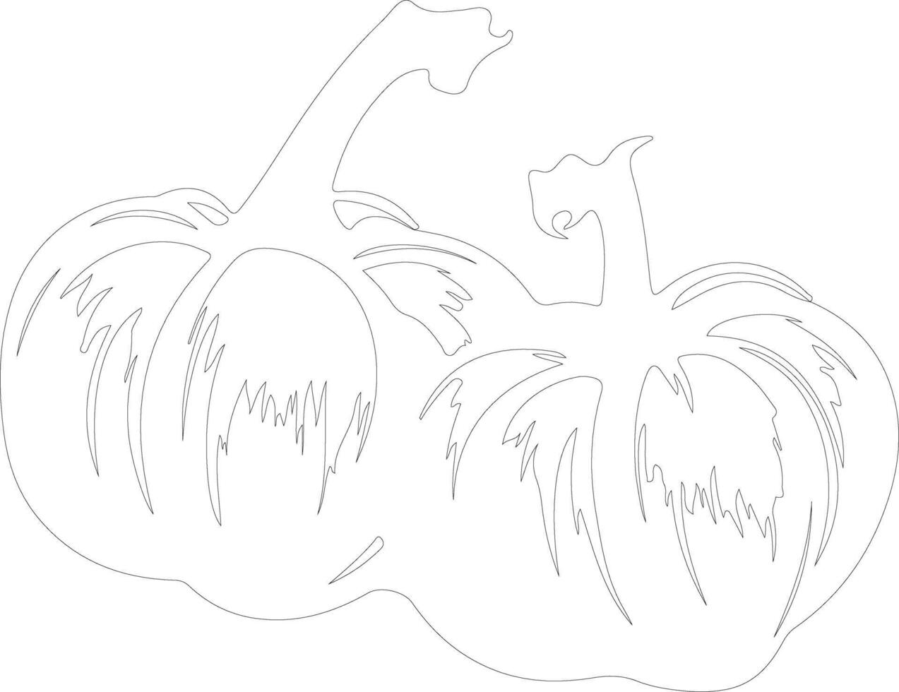 pattypan squash contorno silueta vector