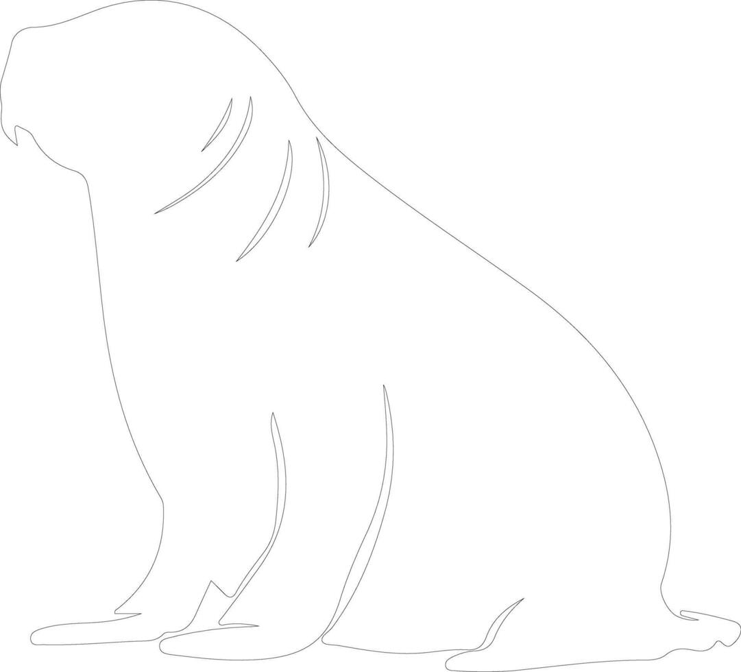 northern elephant seal  outline silhouette vector