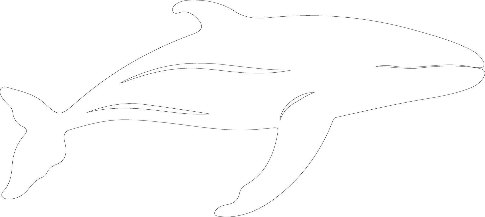 bowheadwhale outline silhouette vector