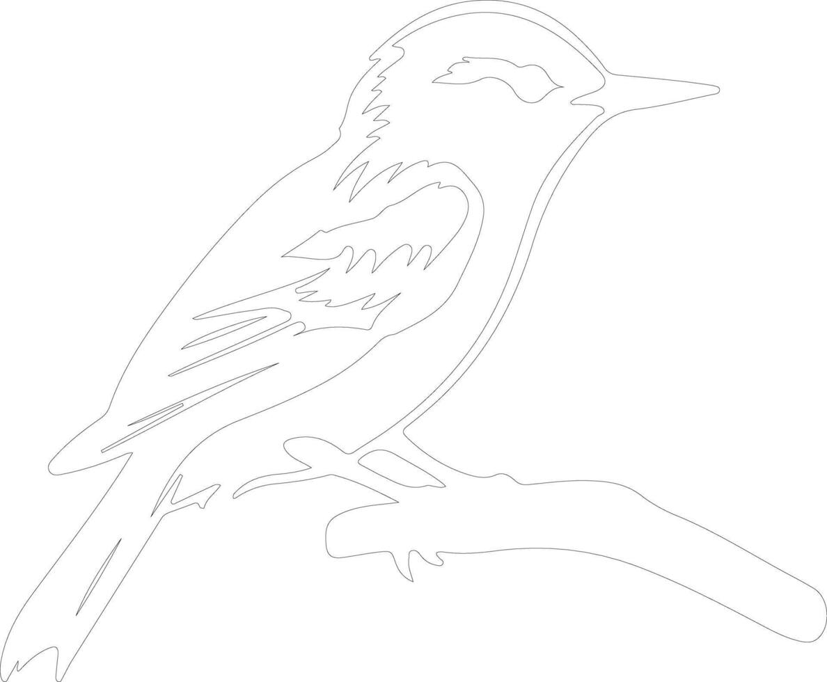 white-breasted nuthatch outline silhouette vector