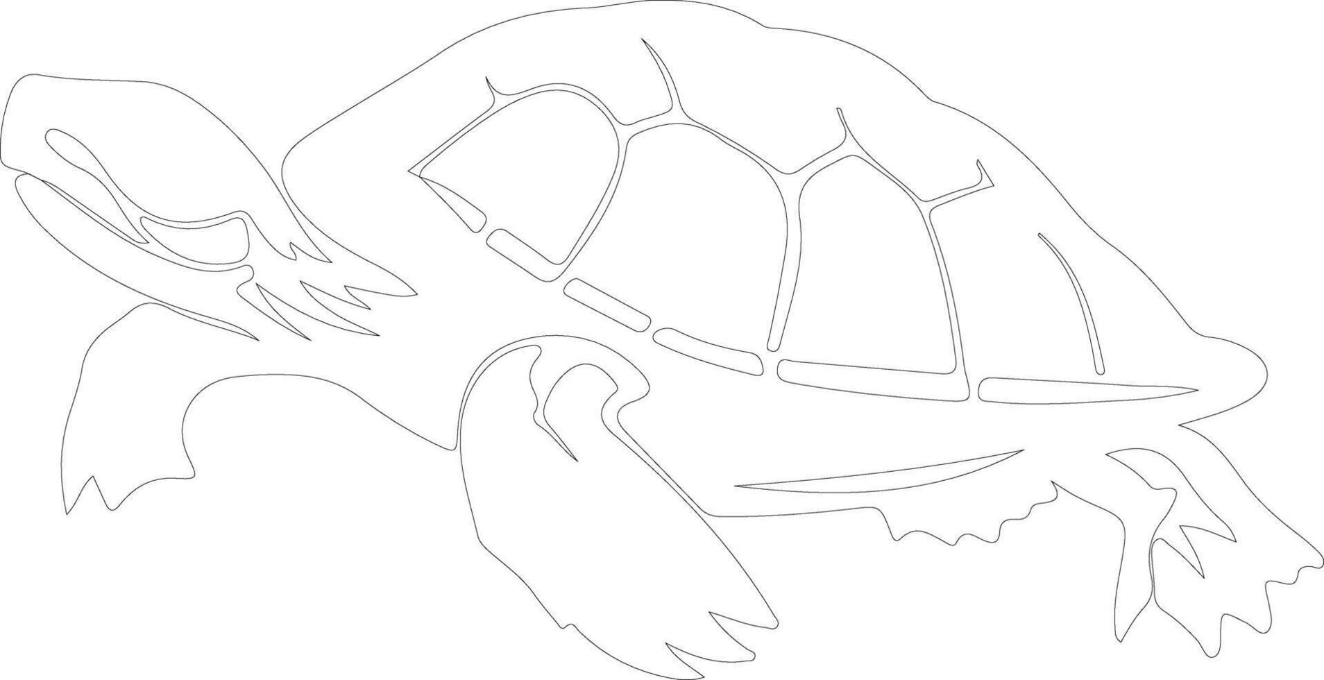 painted turtle  outline silhouette vector