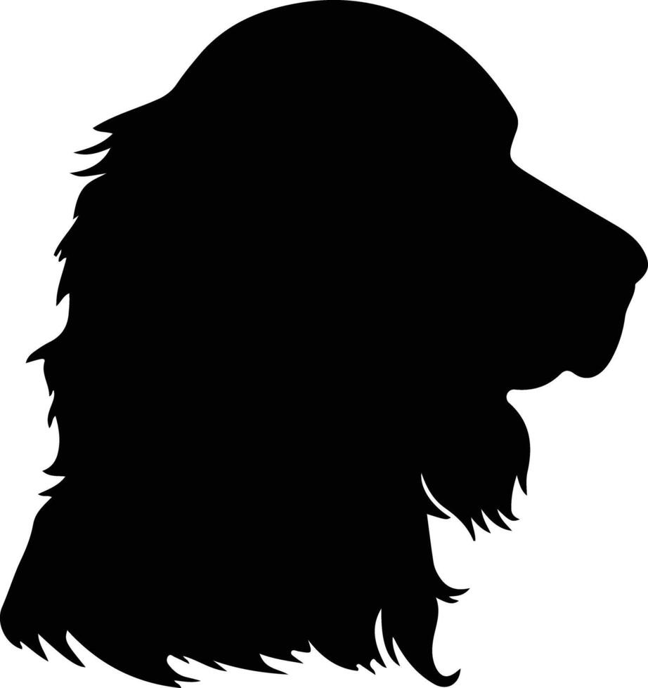 Boykin Spaniel  silhouette portrait vector