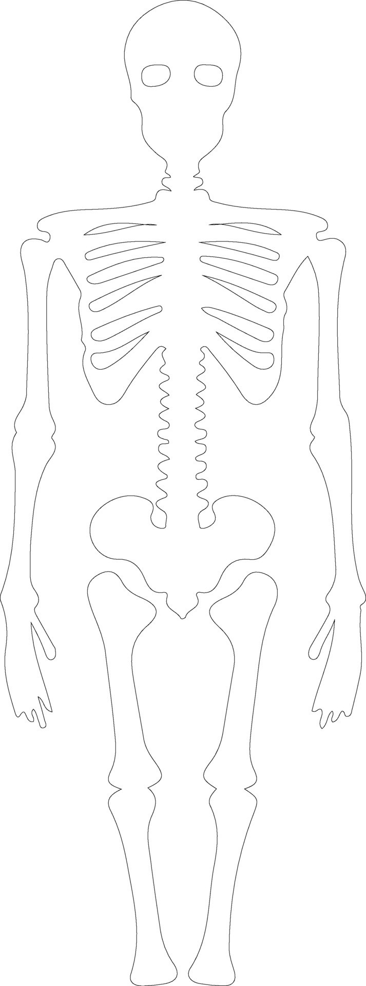 Skeleton outline silhouette 38493620 Vector Art at Vecteezy