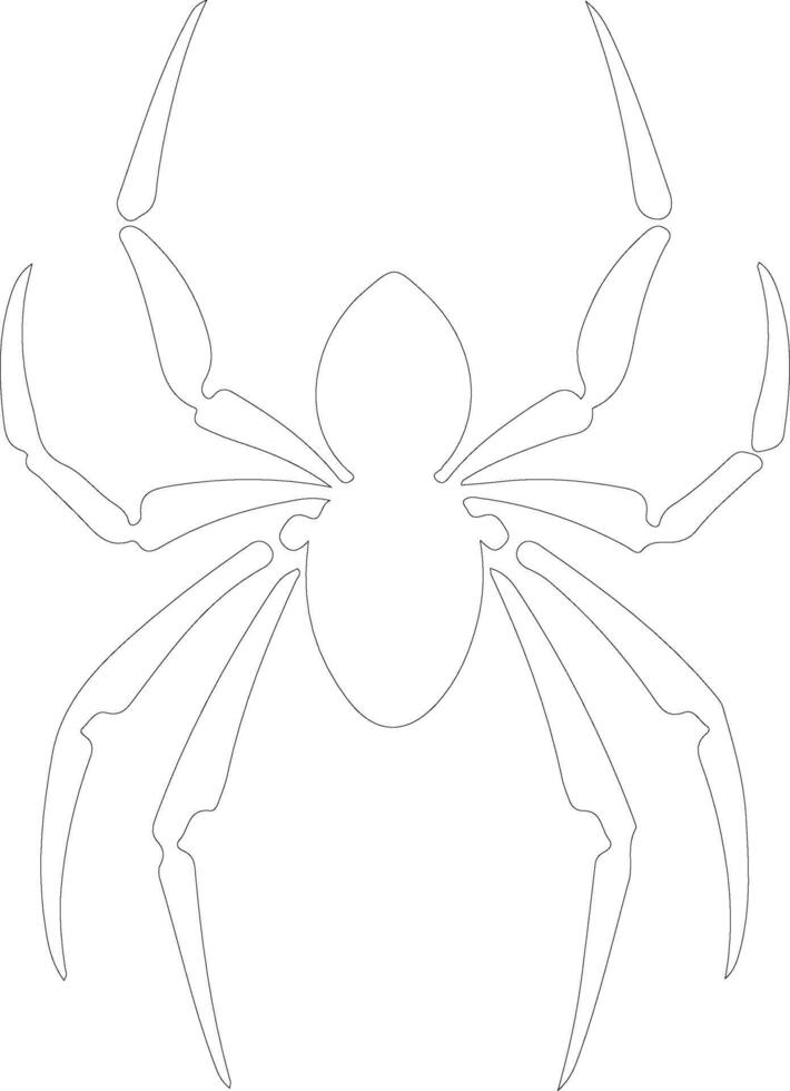 arachnid  outline silhouette vector