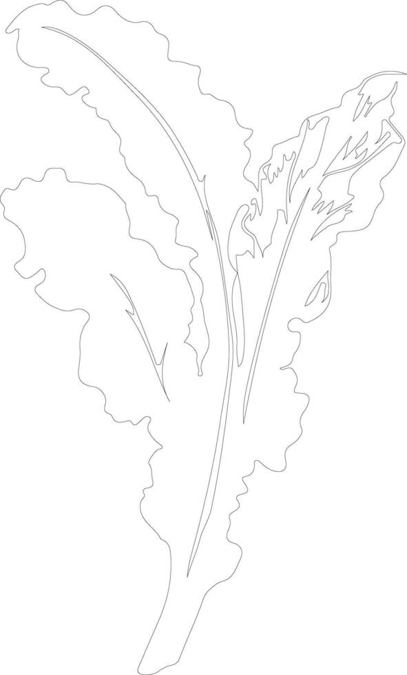 chard  outline silhouette vector