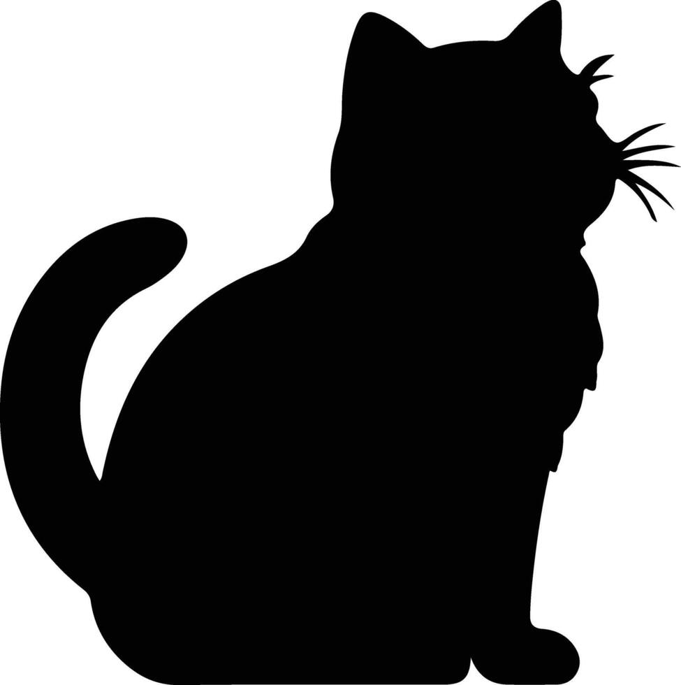 Exotic Shorthair Cat black silhouette vector