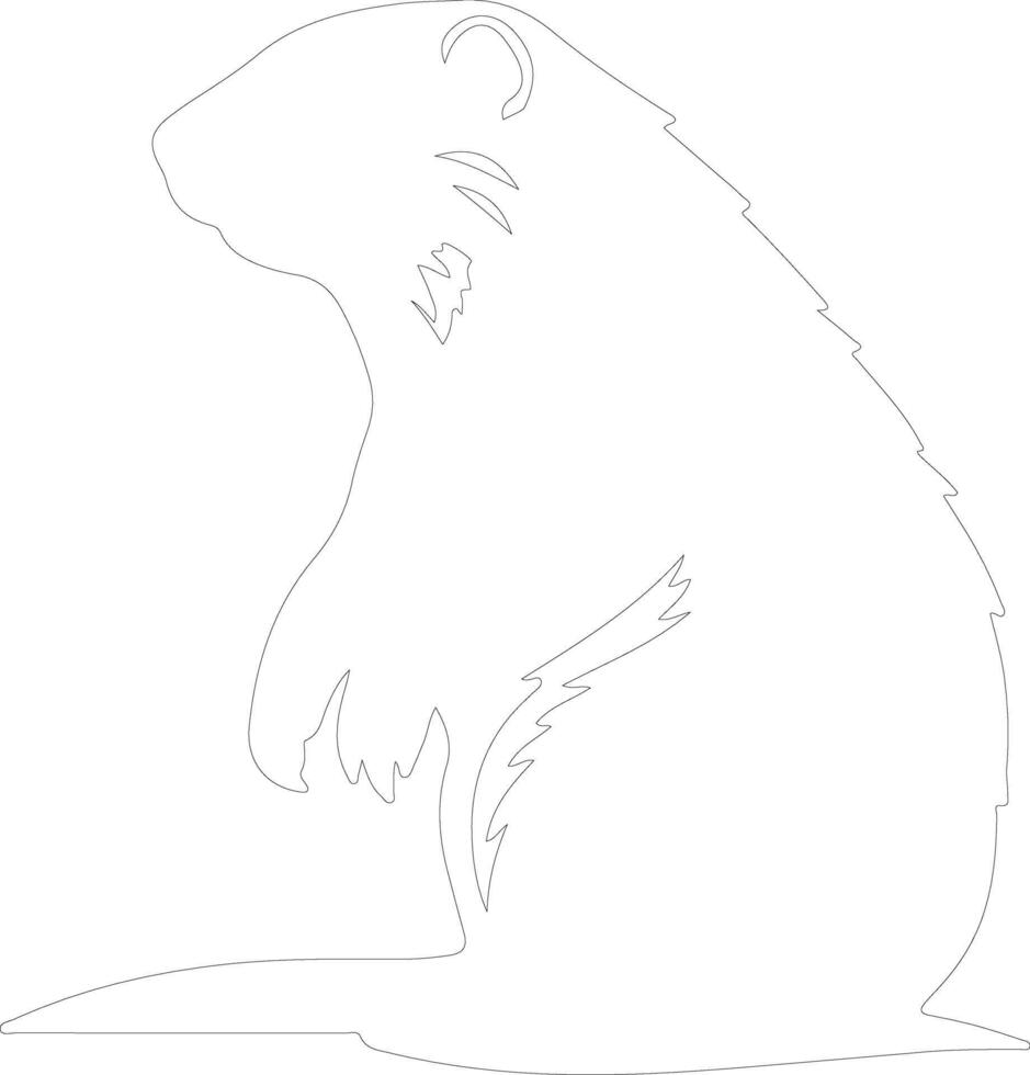 groundhog outline silhouette vector