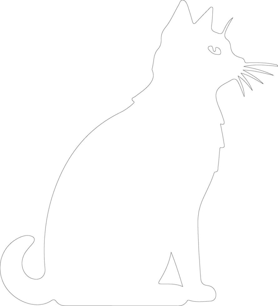 European Shorthair Cat  outline silhouette vector