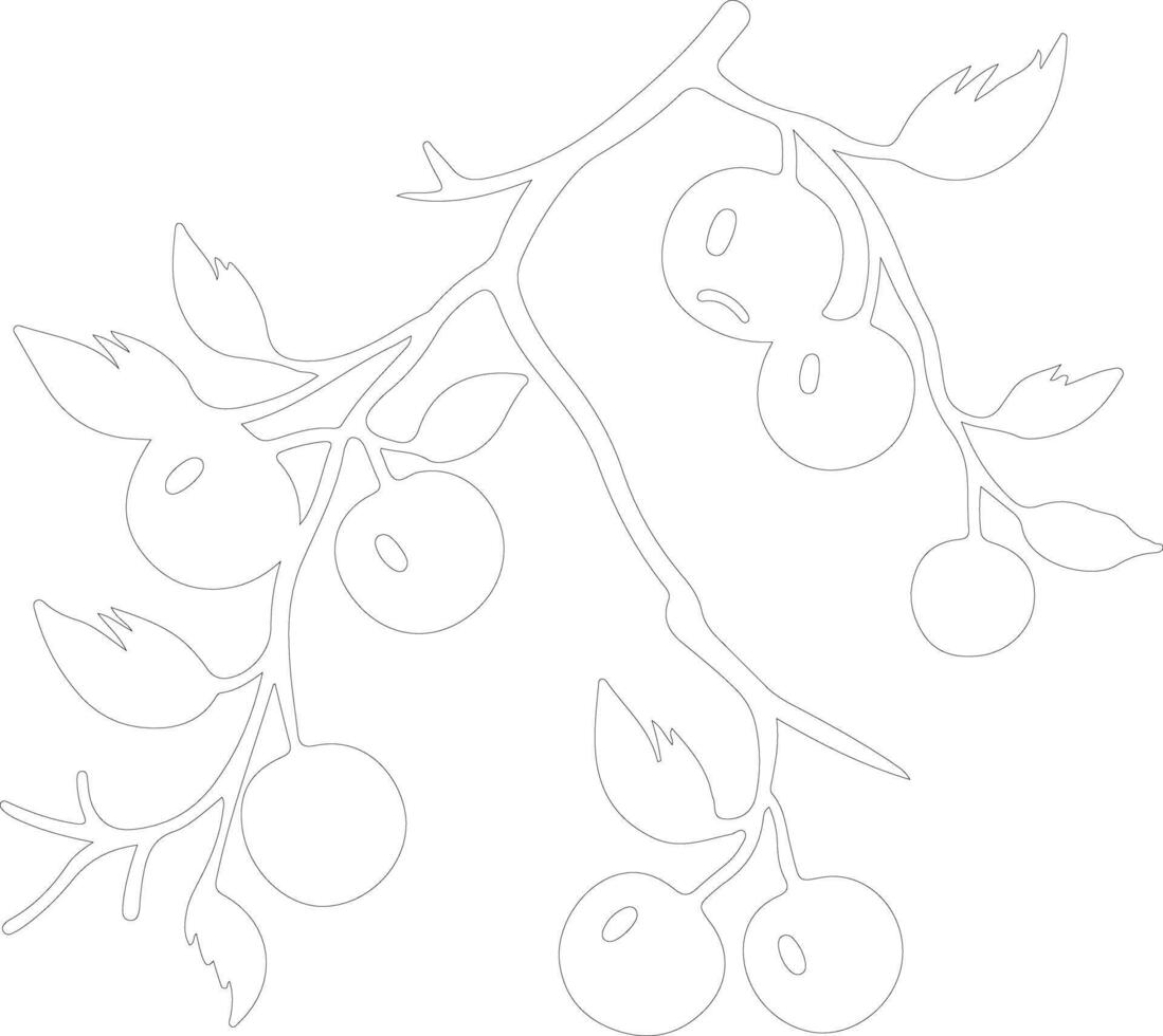 crabapple  outline silhouette vector