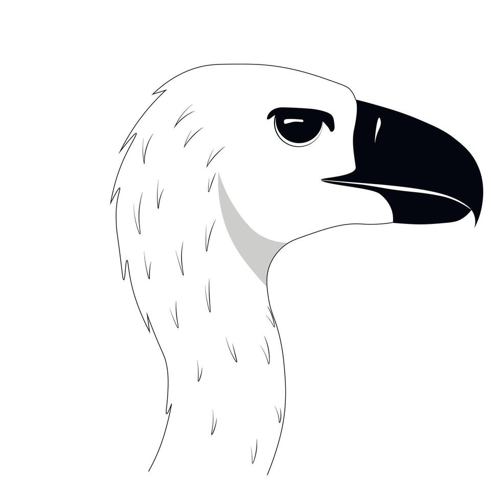 African vultures Griffon vulture or Eurasian griffon. Wild birds of Africa. Vector animals. Vector stock illustration.