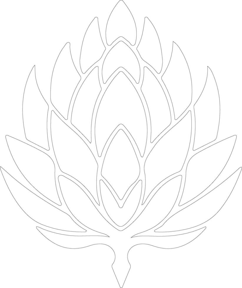 artichoke  outline silhouette vector