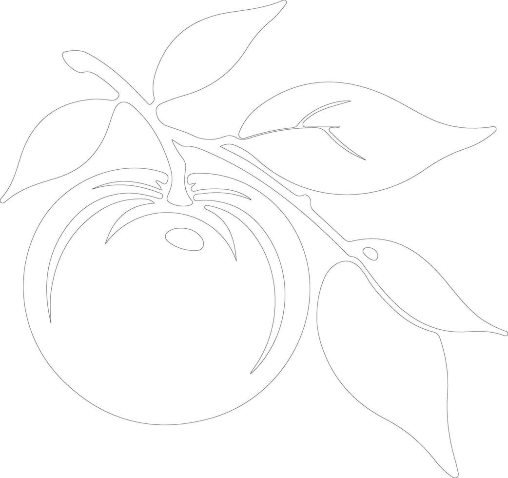 mandarin orange  outline silhouette vector