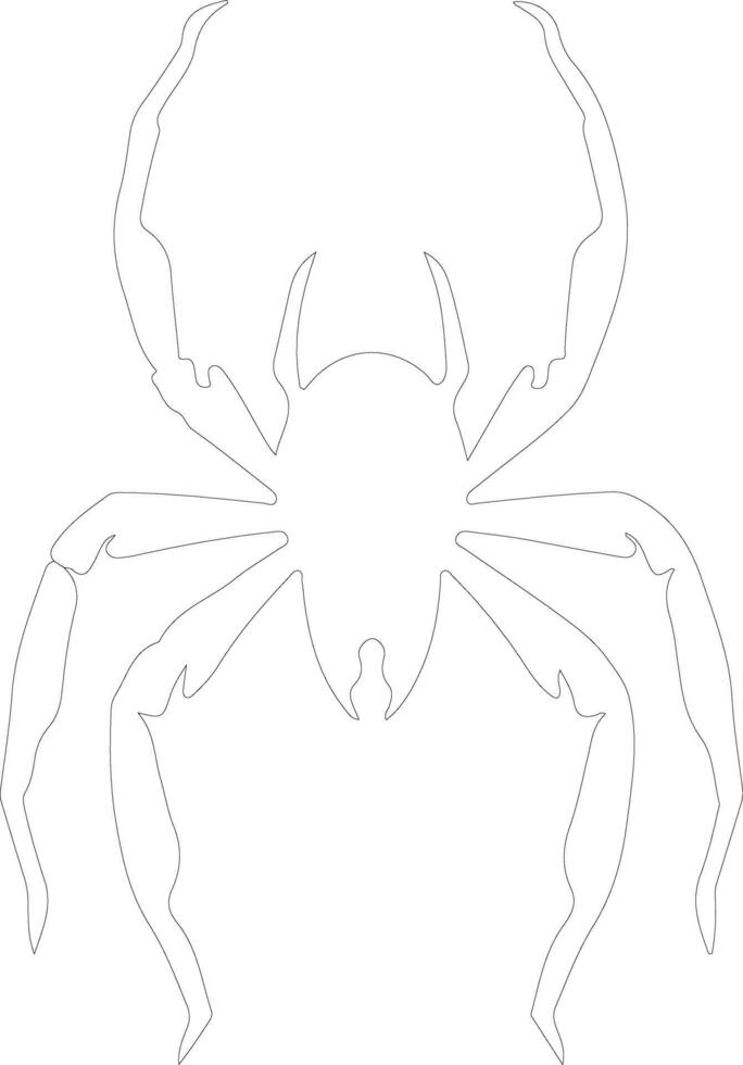 whip scorpion  outline silhouette vector