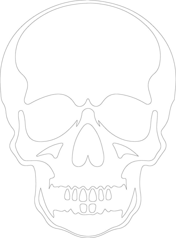scull  outline silhouette vector