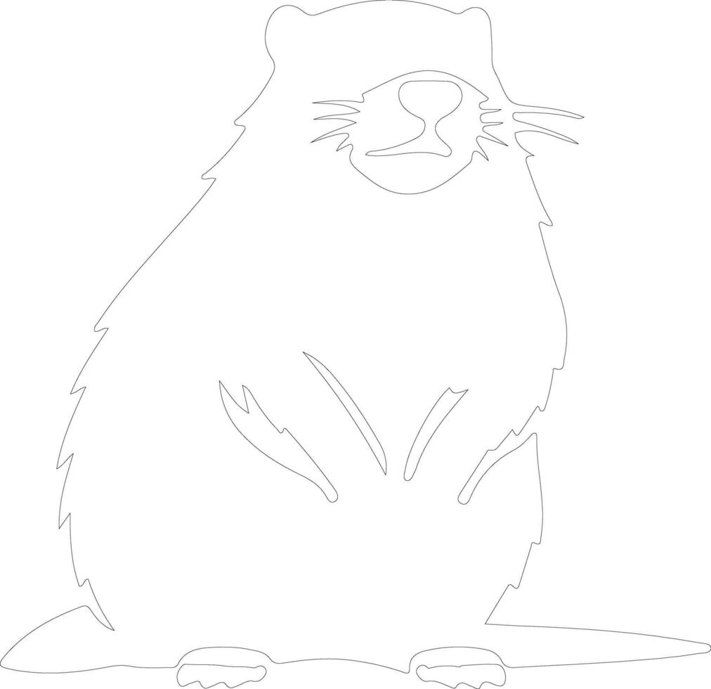 groundhog  outline silhouette vector