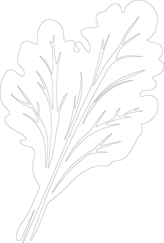 chard  outline silhouette vector