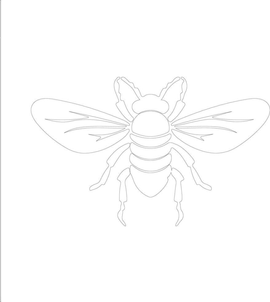 cicada outline silhouette vector