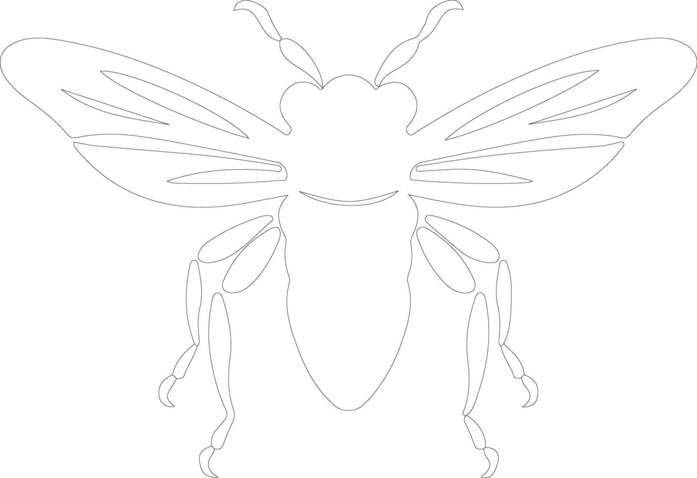cicada outline silhouette vector
