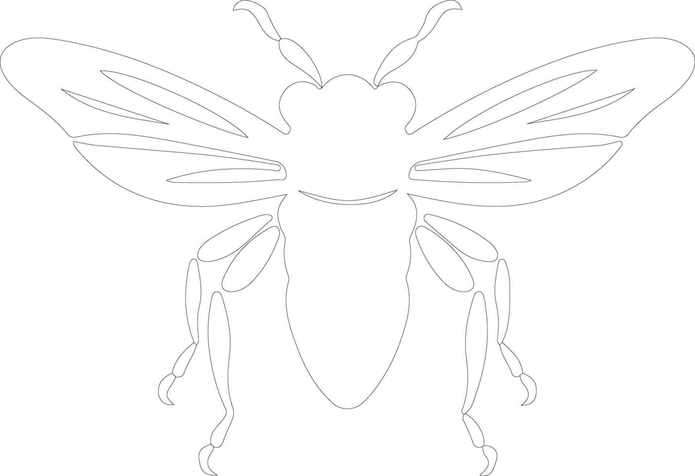 cicada outline silhouette vector