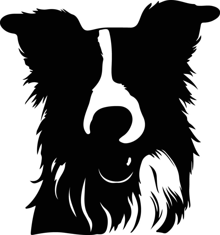 frontera collie silueta retrato vector