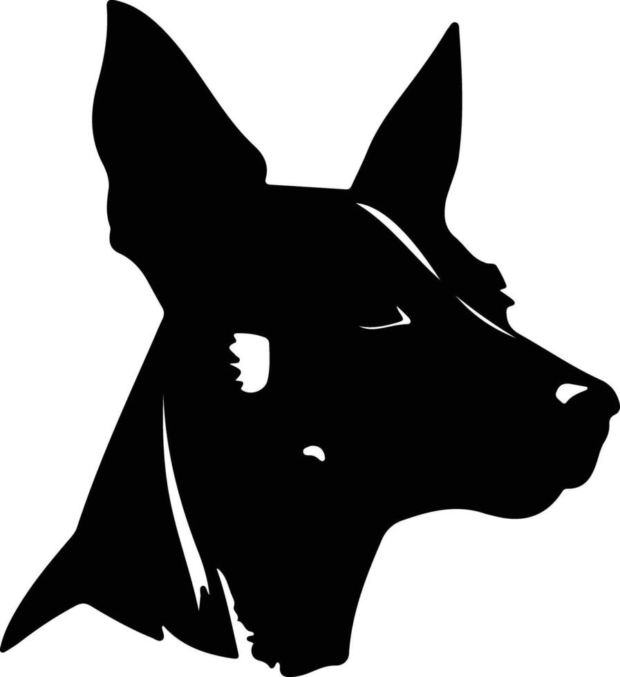 Basenji  silhouette portrait vector