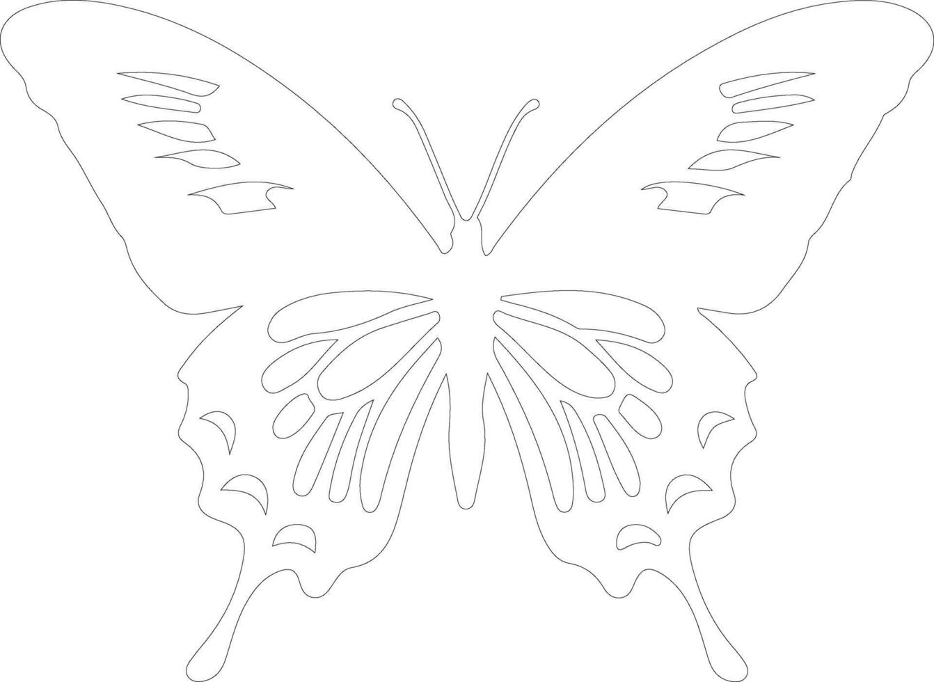 swallowtail butterfly    outline silhouette vector