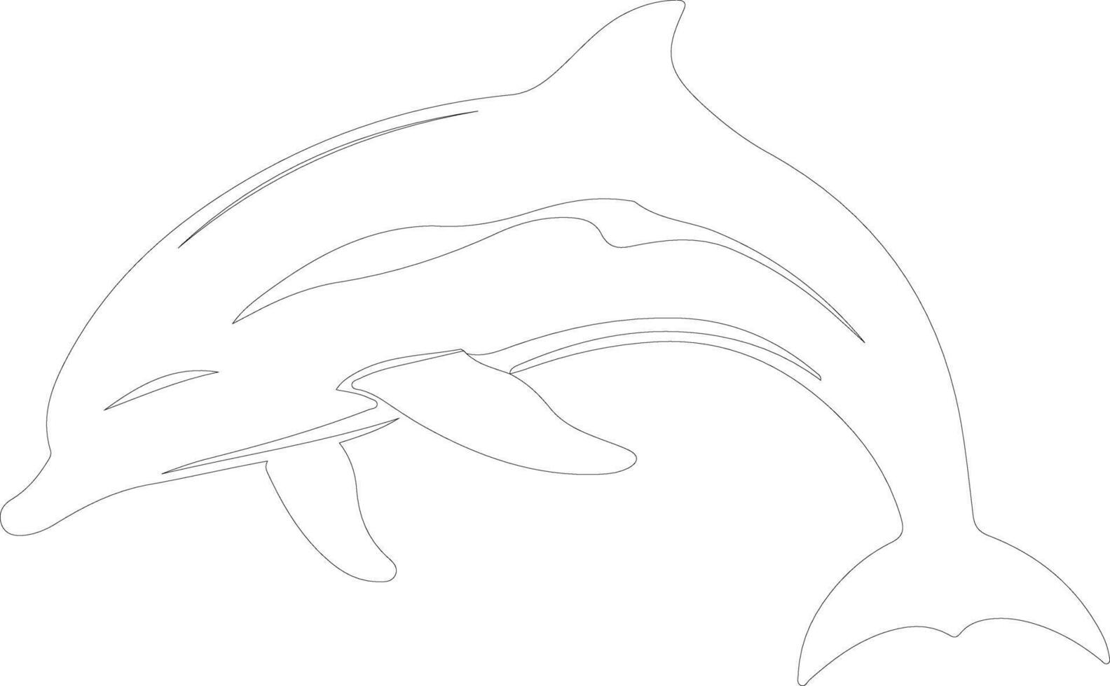 dolphin spotted   outline silhouette vector