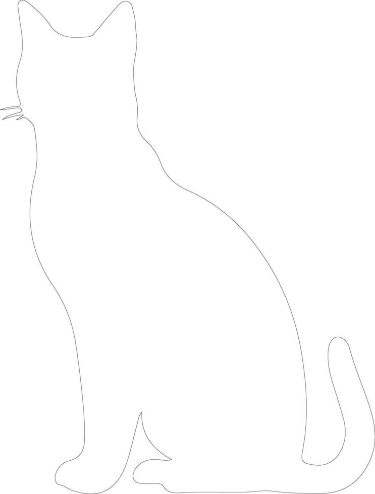 Burmilla Cat  outline silhouette vector