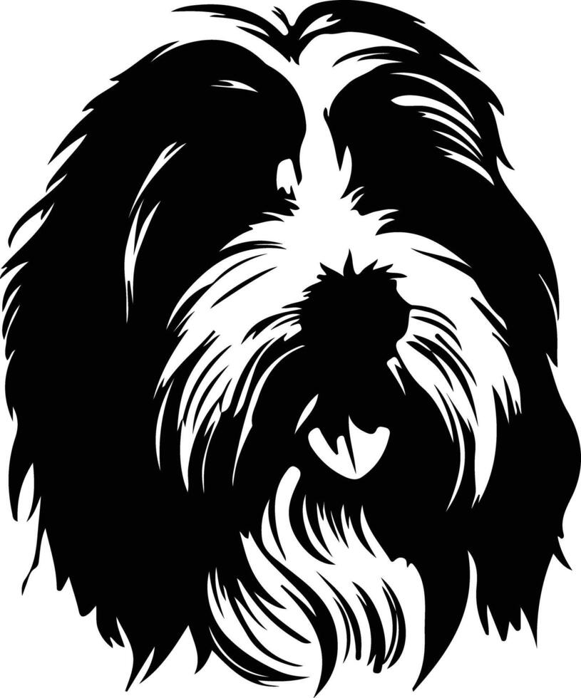 Bearded Collie  silhouette portrait vector