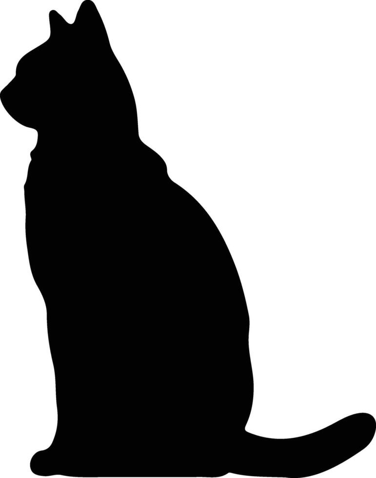 Khao Manee Cat silhouette portrait vector