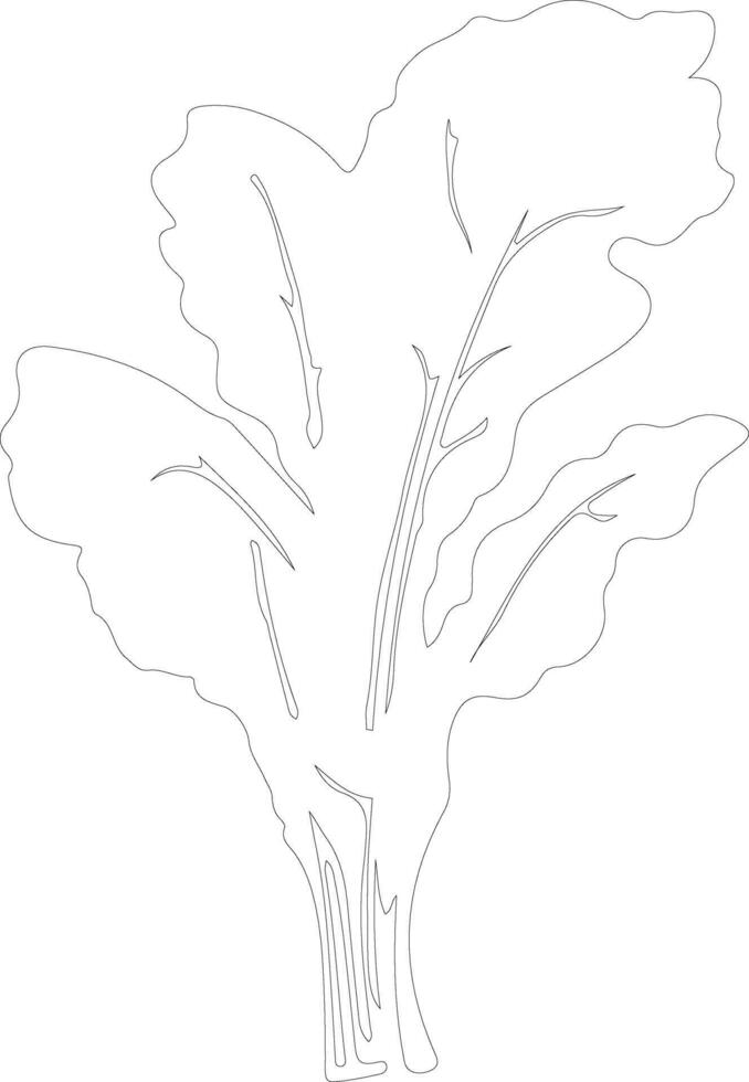 chard  outline silhouette vector