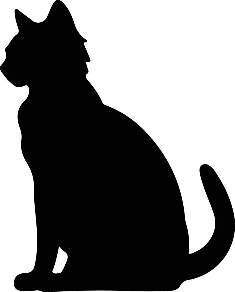 Khao Manee Cat  silhouette portrait vector