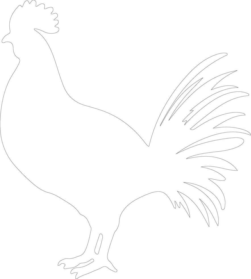 prairie chicken    outline silhouette vector