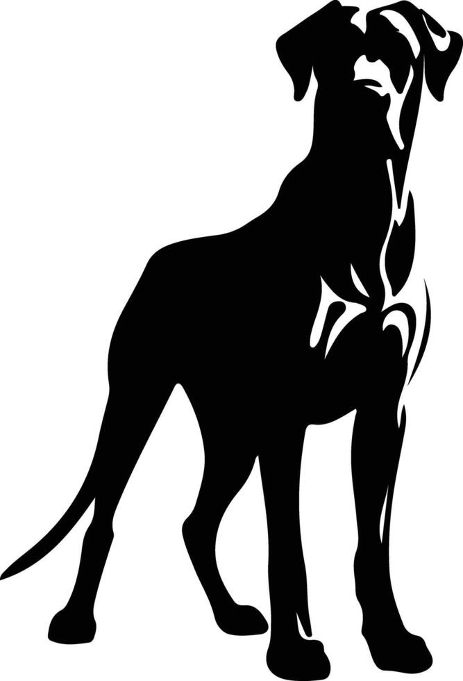 Great Dane  silhouette portrait vector