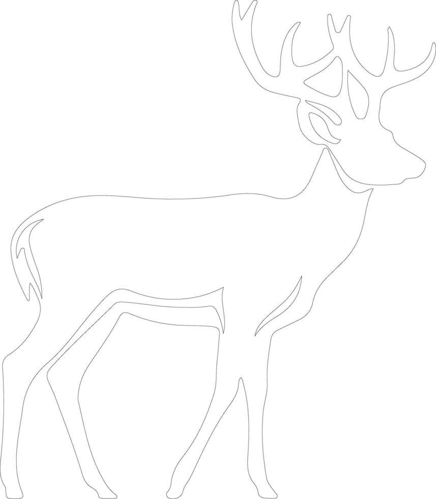 white-tailed deer  outline silhouette vector