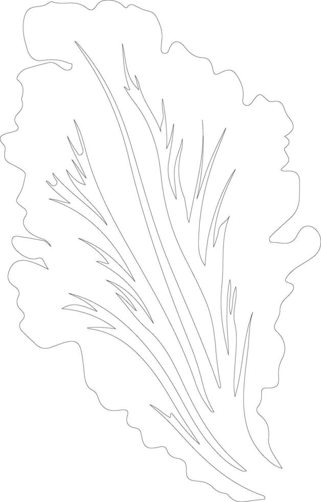 Chinese cabbage  outline silhouette vector