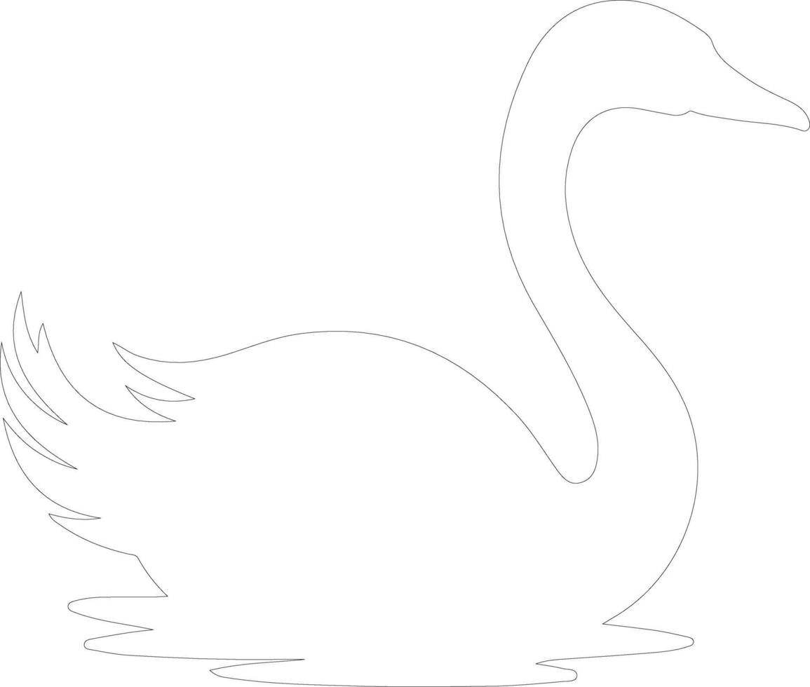 black swan  outline silhouette vector