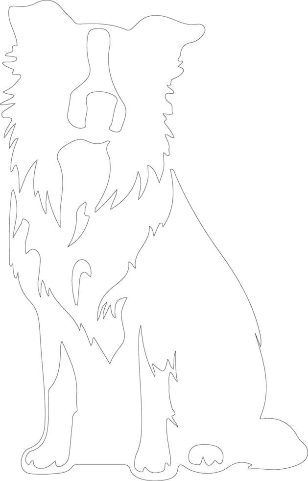 bordercollie outline silhouette vector