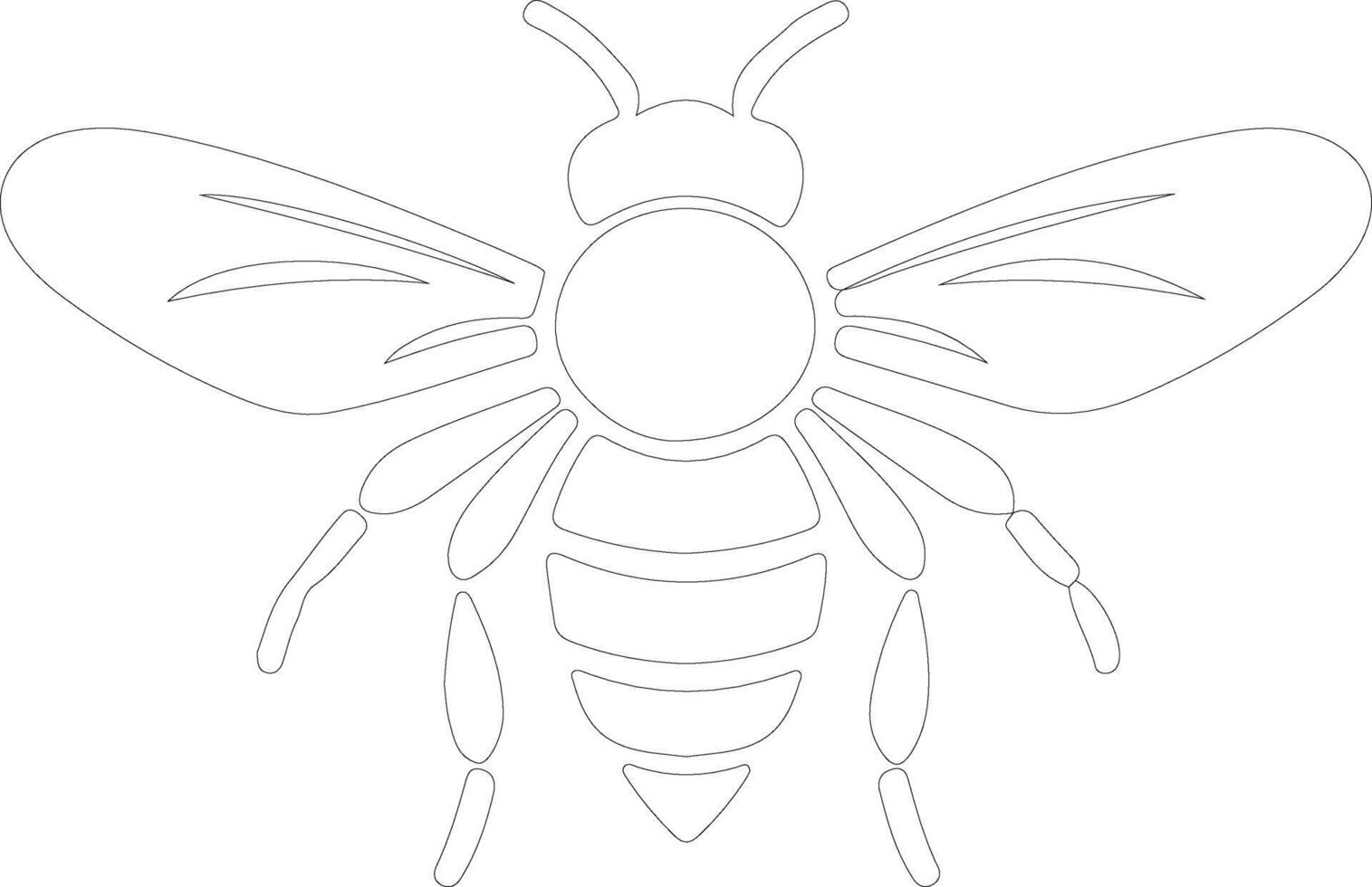 bee  outline silhouette vector