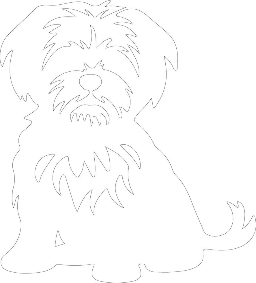 Maltese  outline silhouette vector