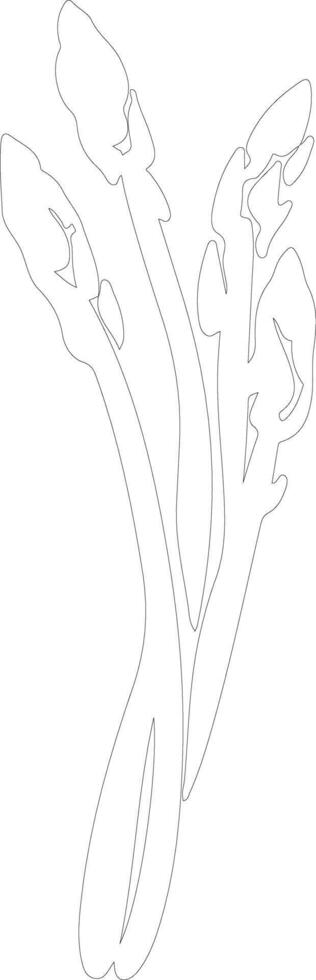 asparagus  outline silhouette vector