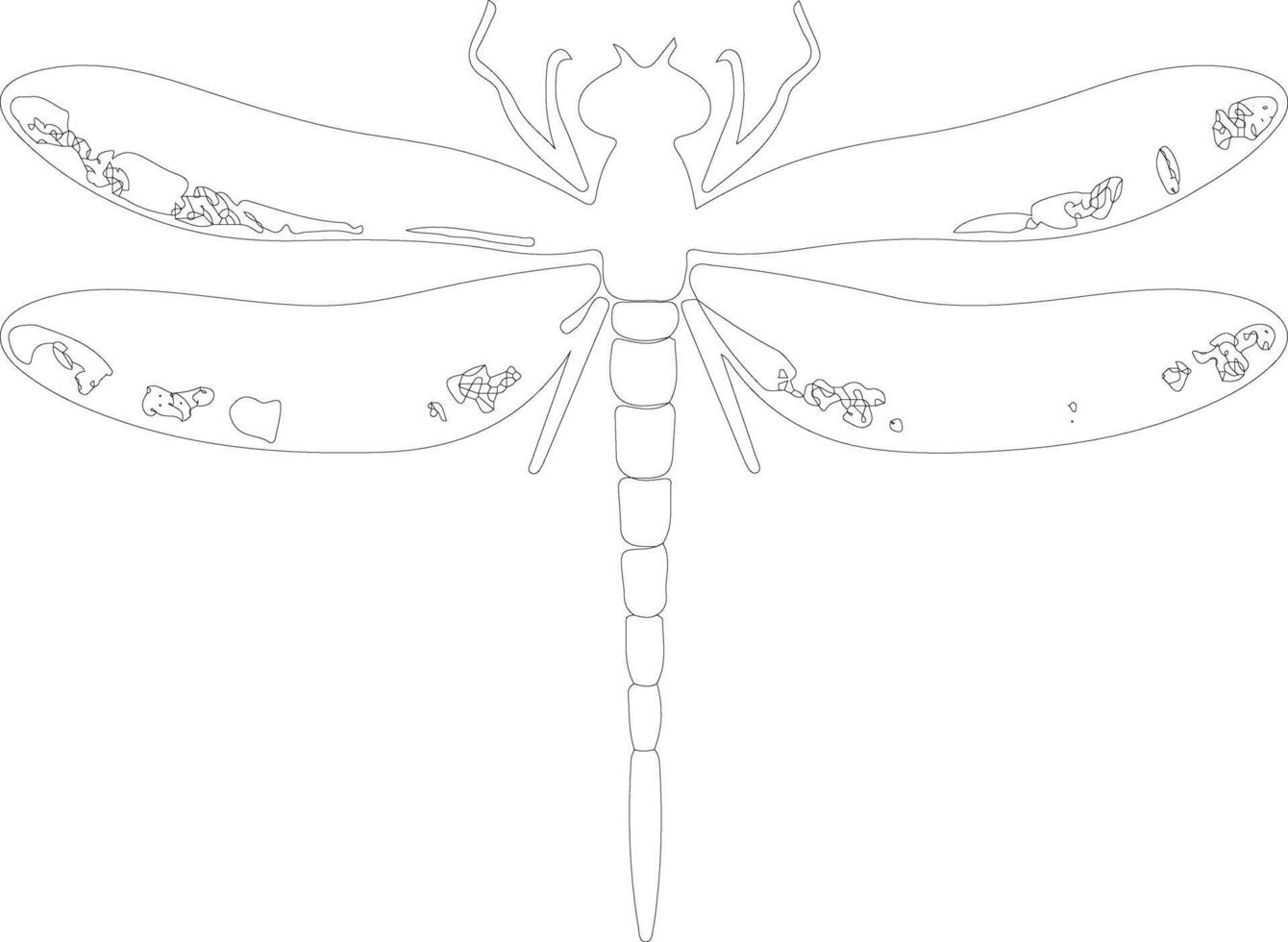 green darner dragonfly outline silhouette vector